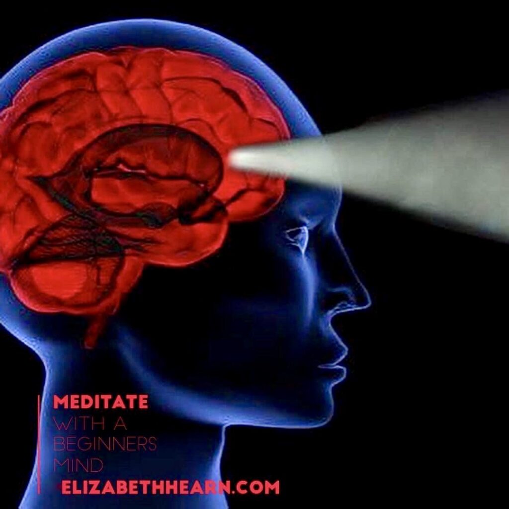 This image has an empty alt attribute; its file name is A30476B5-CE60-4013-9978-0469110BC338_1_201_a-1024x1024.jpeg